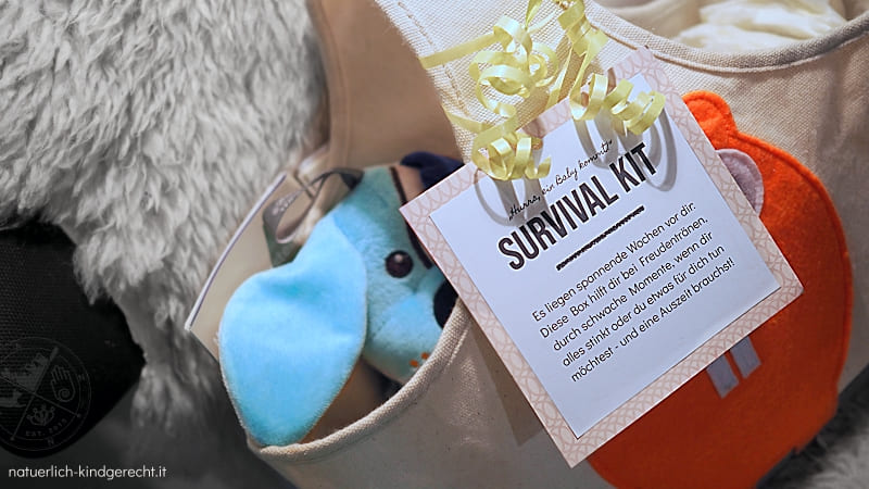 Geschenkidee für Schwangere und werdende Mütter Survival-Box